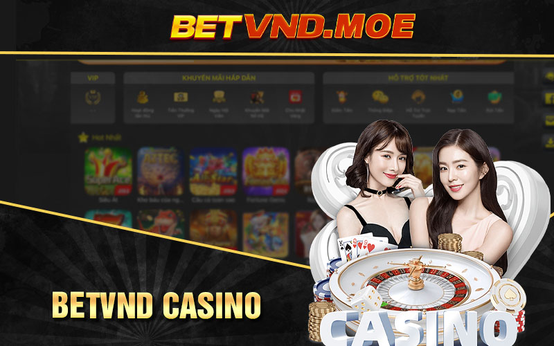 betvnd casino